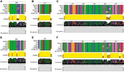 Predicted B Cell Epitopes Highlight the Potential for COVID-19 to Drive Self-Reactive Immunity